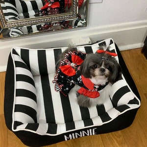 Minnie looking adorable in her 22x18 Cuddle Bed.