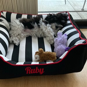 Ruby enjoyinf hwe 22x22 Cuddle Bed
