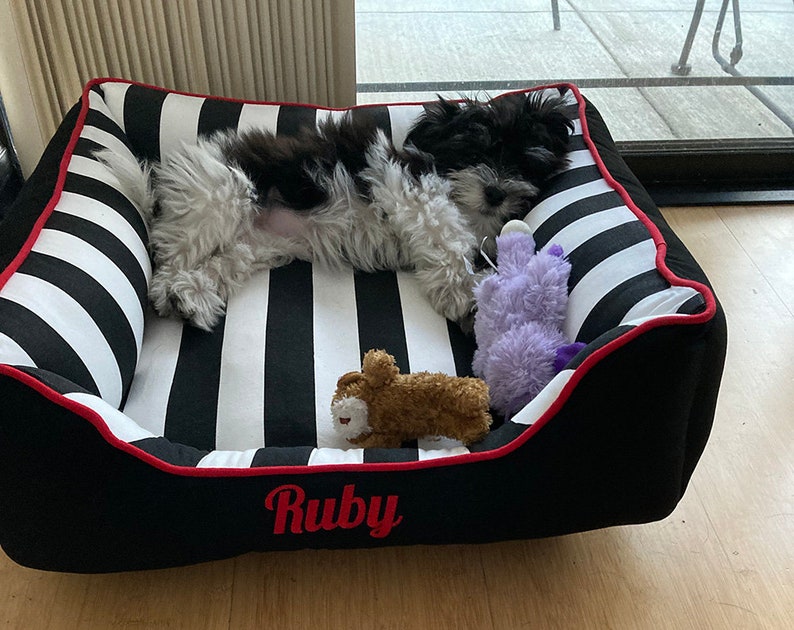 Ruby enjoyinf hwe 22x22 Cuddle Bed
