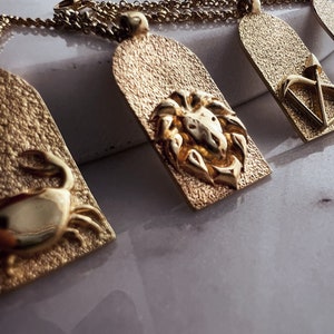 Leo dierenriem hanger ketting, sterrenbeeld ketting
