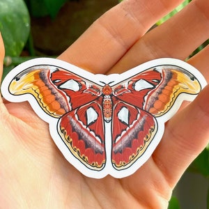 May include: A sticker of a large, colorful butterfly with red, orange, white, and black markings. The butterfly has a wingspan of about 4 inches.