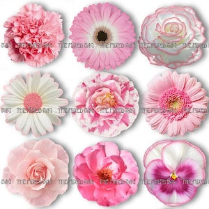 Op de afbeelding: Twaalf verschillende roze en witte bloemen, waaronder een anjer, madeliefje, roos, viooltje en kosmos.