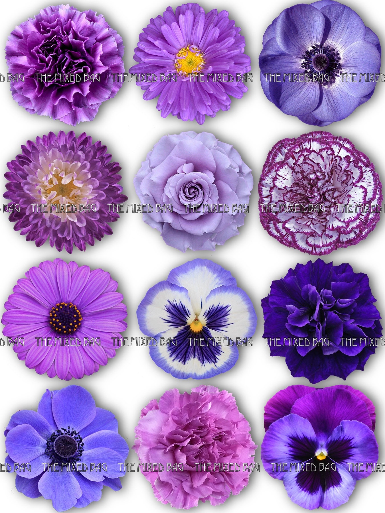 12 assorted purple summer flower clipart printable botanical etsy