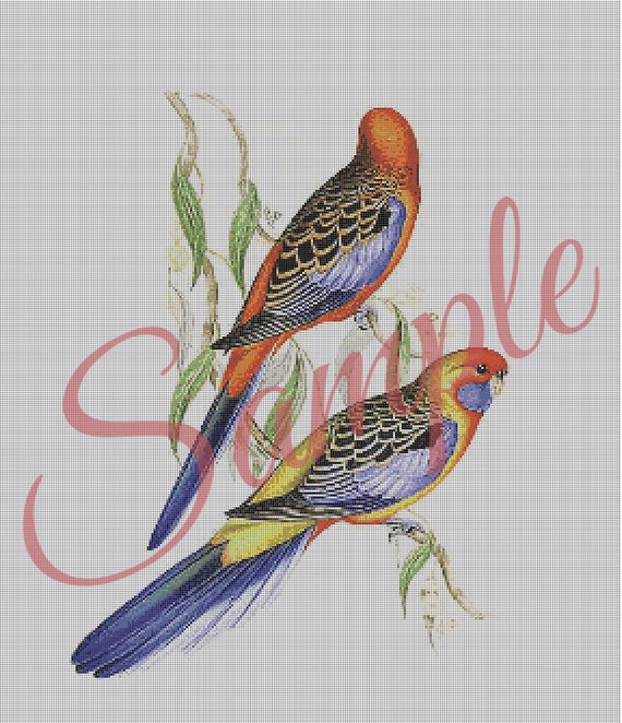 Instant Download embroidery designs art Cross stitch pattern of the Australian parrot Rosella cross stitch pattern pdf Cross Stitch pdf