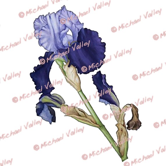 Download 540+ Background Art Royal Blue Terbaik