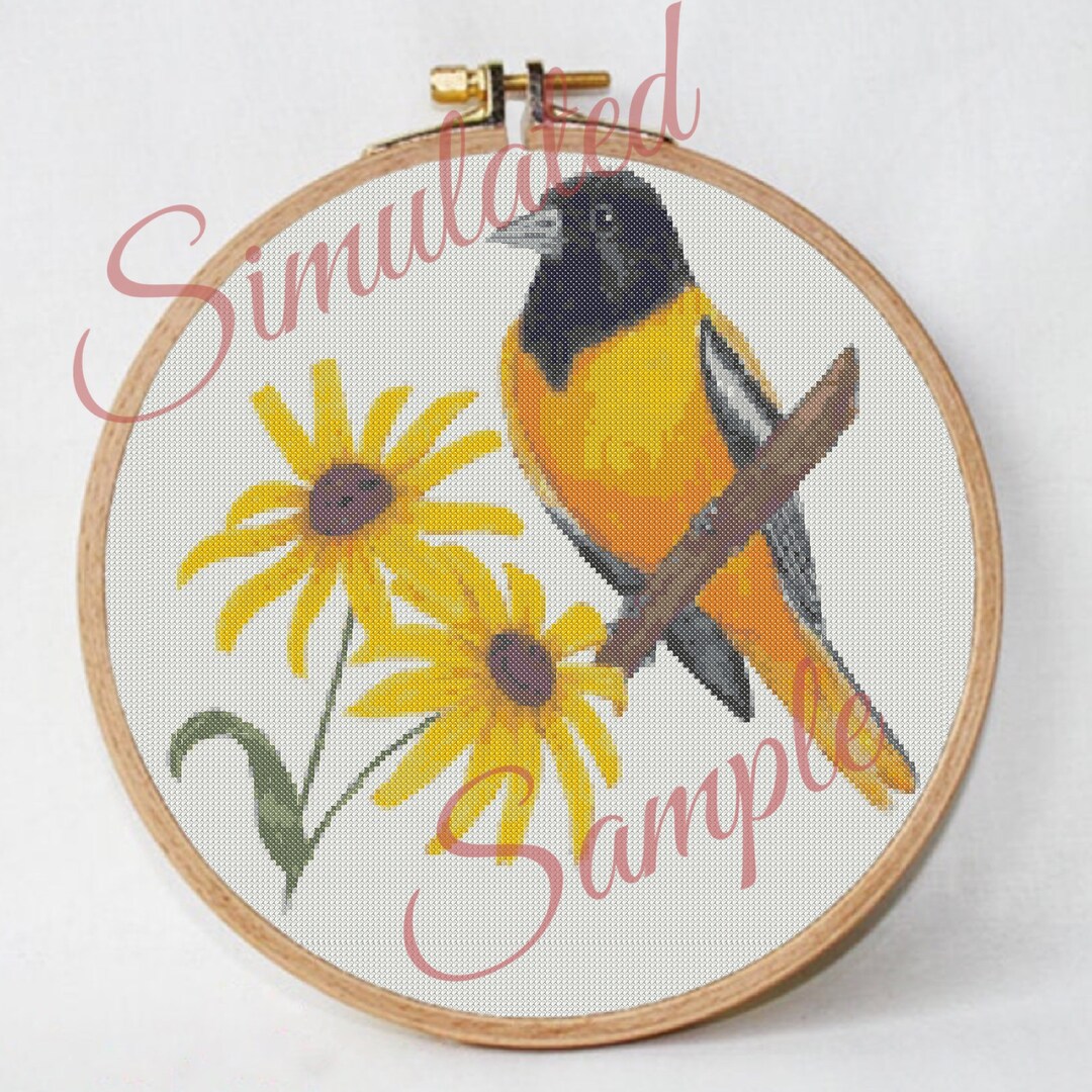 Maryland State Bird Baltimore Oriole and Black Eyed Susan Flower