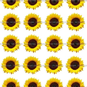 20 Sunflower Cupcake Toppers Clip Art Printable Photographs JPG downloadable 300 DPI w/ Cutting Guide Line for Stickers, Buttons, Tags