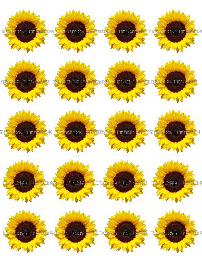 20 Sunflower Cupcake Toppers Clip Artwork Printable Images JPG downloadable 300 DPI w/ Reducing Direct Line for Stickers, Buttons, Tags image about Printable Sunflower known as 20 Sunflower Cupcake Toppers Clip Artwork Printable Pictures JPG downloadable 300 DPI w/ Reducing Advisor Line for Stickers, Buttons, Tags