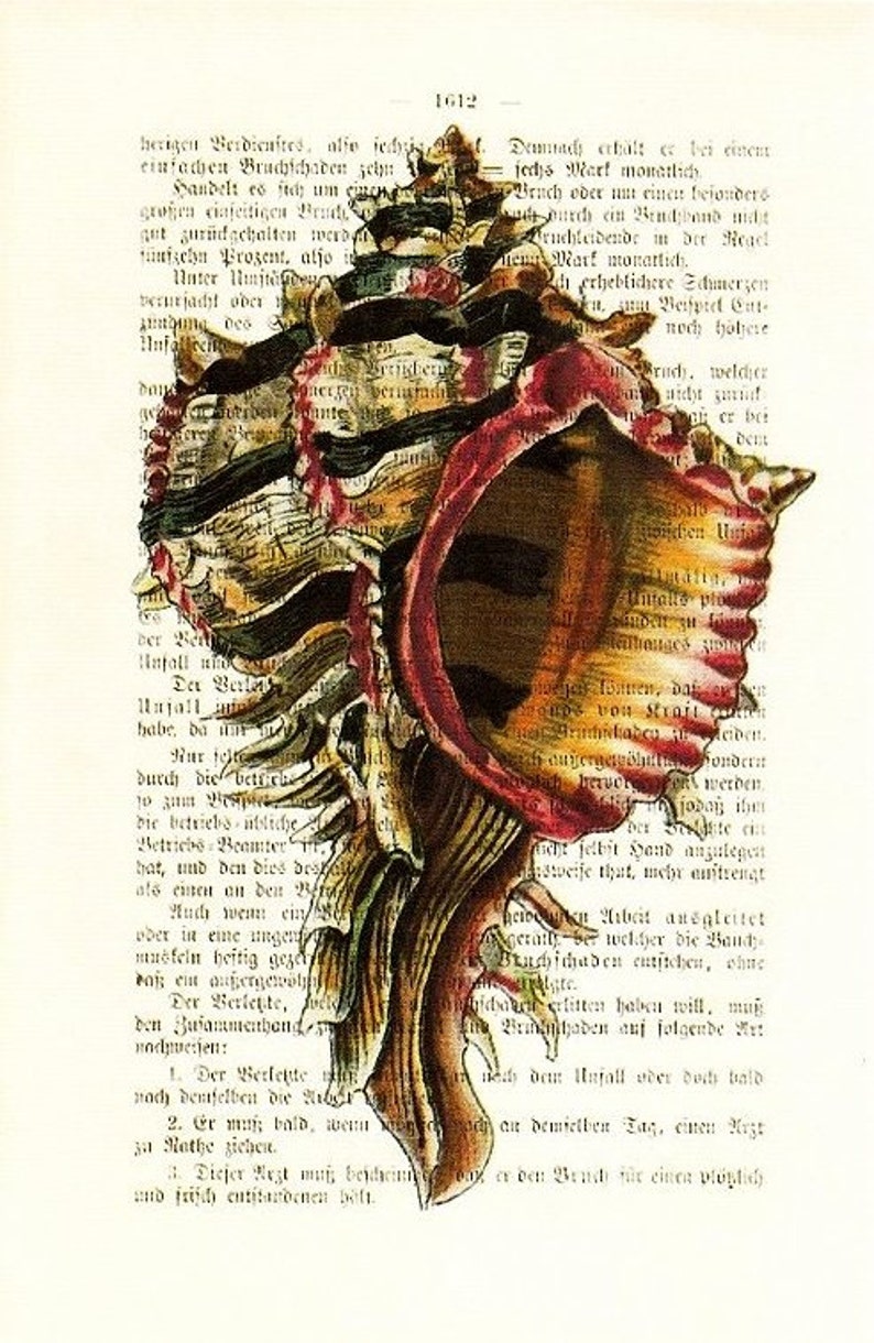 SEA LIFE SHELL Dictionary Art Print Nautical Print Etsy