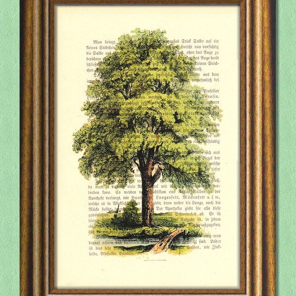 THE OLD TREE - Dictionary art print - Wall art print  - Book print recycled - Art Print Dictionary upcycled