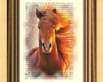 RUNNING FREE HORSE - Dictionary art print -Vintage art book page print recycled - Art Print Dictionary