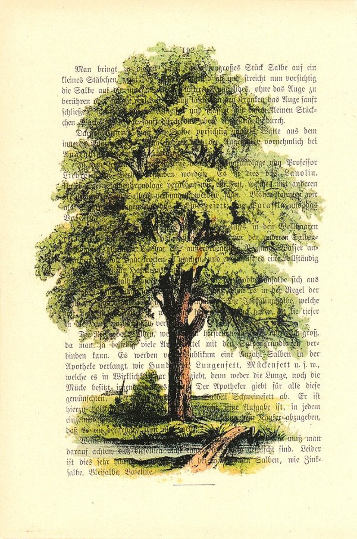 THE OLD TREE Dictionary Art Print Wall Art Print Book Print Recycled ...