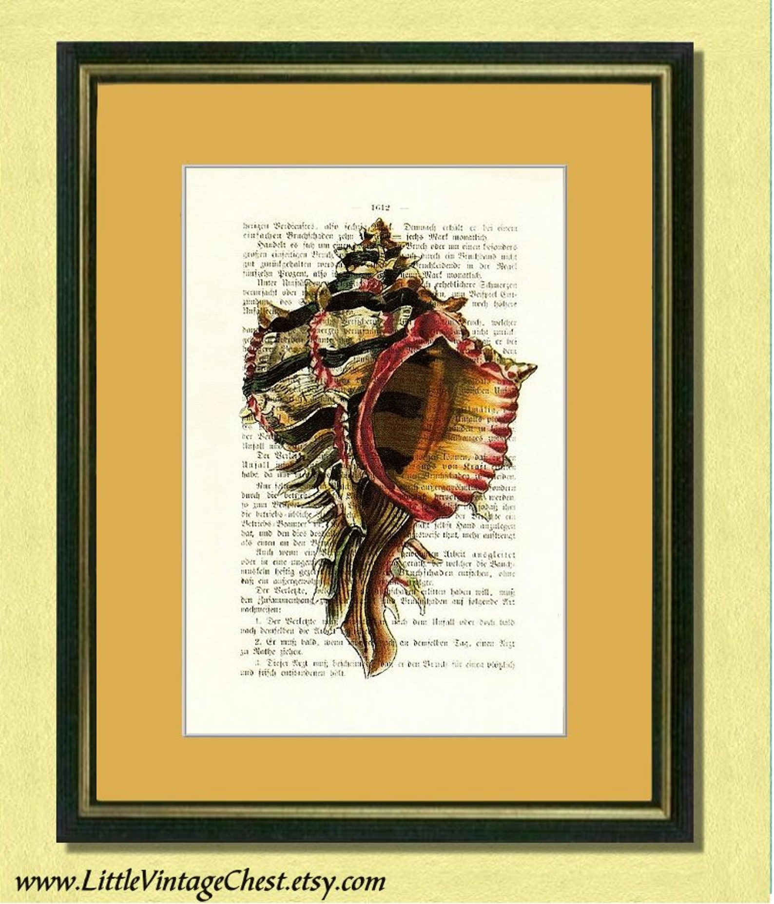 SEA LIFE SHELL Dictionary Art Print Nautical Print Etsy