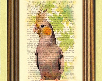 ROBB the COCKATIEL - Parrot -  Parakeet - Dictionary art print -Vintage book page print recycled - Art Print Dictionary