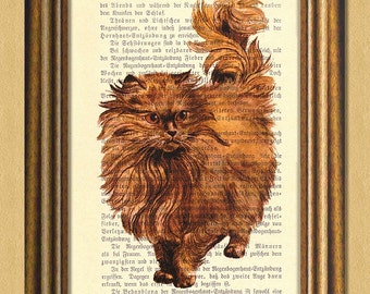 MY PERSIAN CAT -Dictionary art print- Wall Decor -Vintage book page print recycled