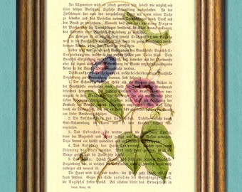 VIOLET MORNING GLORY -Dictionary art print-Wall Art-Book page print recycled