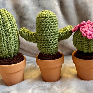 Crochet cactus, crochet home decor, desert crochet cactus image 2