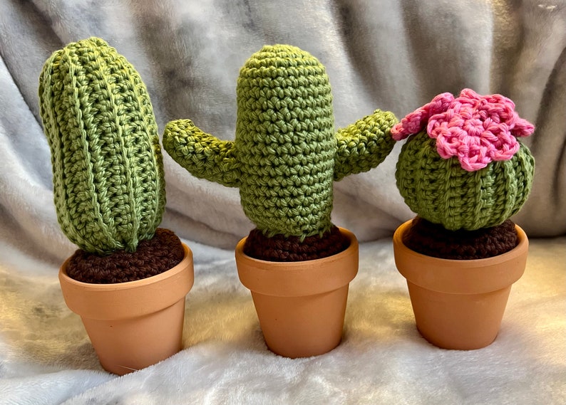 Crochet cactus, crochet home decor, desert crochet cactus image 2