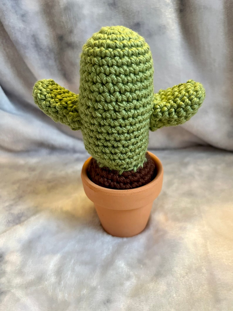 Crochet cactus, crochet home decor, desert crochet cactus image 1