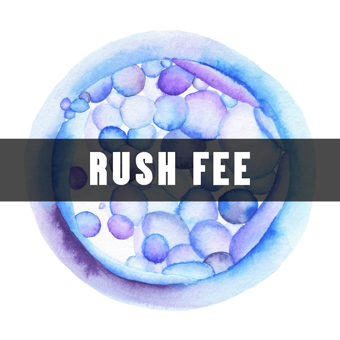 Rush Fee Order for Embryo Watercolor - Etsy