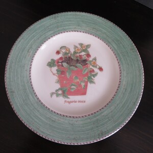 Salad Dessert Display Plate Wedgwood Sarah&#39;s Garden Queen&#39;s Ware Fragaria Vesca - Christmas Green England Vintage 1997