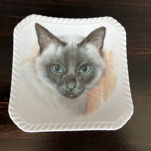 Royal Adderley Trinket or Ring Dish Siamese Cat Bone China 4” Square with Ribbed Rim, Vintage 1970s