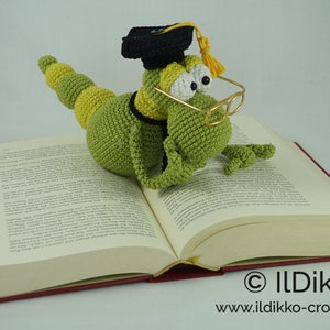 Amigurumi Pattern Hemingway the Bookworm image 7