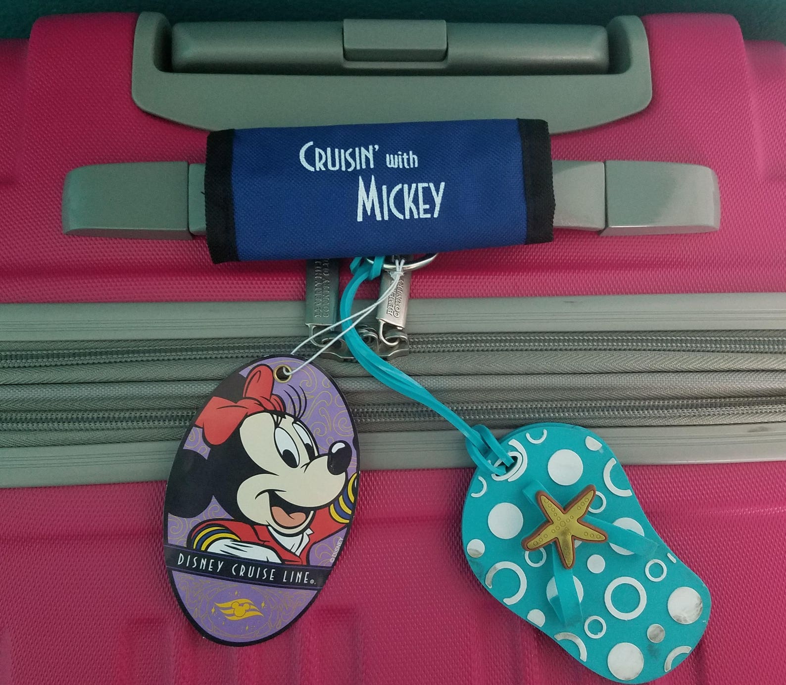 Disney Cruise Luggage Wrap Cruisin' With Mickey Find Etsy