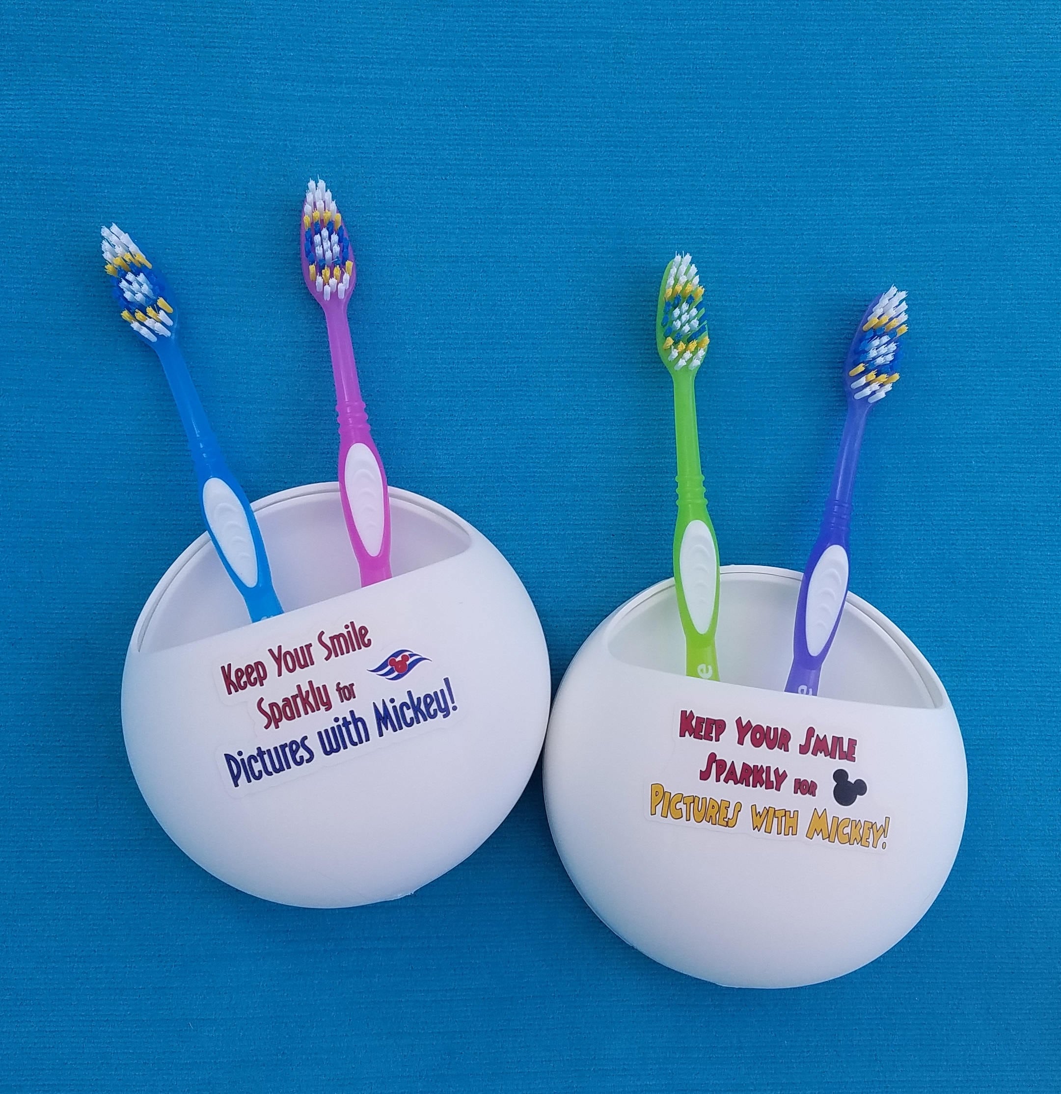 Disney Cruise Toothbrush Holder - Fish Extender Gift - Etsy