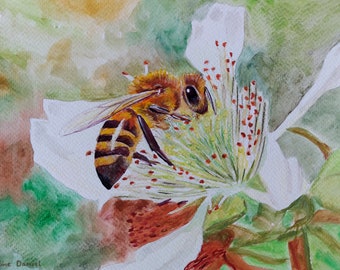 7"x10" Honey Bee on a Bramble Flower - Original Watercolour Painting on Watercolour Paper - Insects - Nature - Flowers - Wildlife