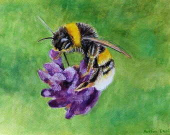 7"x10" Bee on Lavender - Original Watercolour Painting on Watercolour Paper - Insects - Nature - Flowers - Wildlife