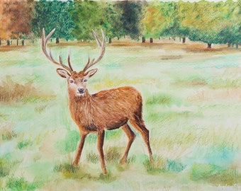 A4 Deer - Original Watercolour Painting on Watercolour Paper - Richmond Park Deer - Wildlife - Nature - Animals - Landscape