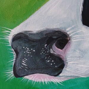 Black & White Cow  Original Acrylic Painting on Canvas  image 3