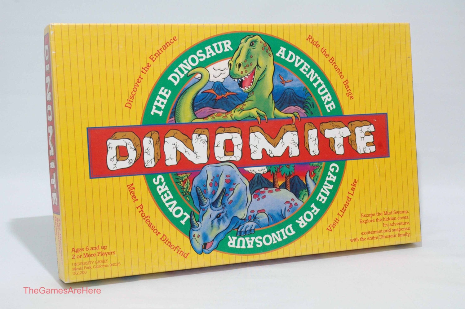 Montessori Wooden Dinosaur Game - Dinosaur Memory Cards - Memory Game –  Bush Acres