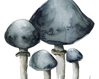 mushroom fungus blue scientific illustration fine art print reproduction of a mushroom watercolor painting