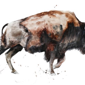 Large Buffalo decor wild American bison wildlife canvas art print reproduction buffalo painting by Meredith O&#39;Neal