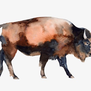 Large Buffalo decor wild American bison wildlife canvas art print reproduction buffalo painting by Meredith O&#39;Neal