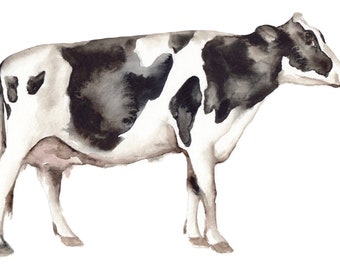 Cow cattle farmhouse art print reproduction watercolor painting by Meredith O'Neal