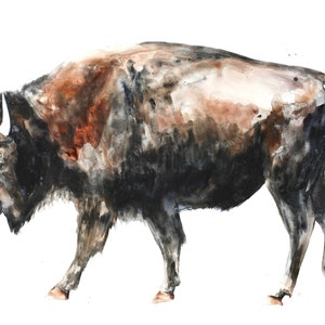 Large Buffalo decor wild American bison wildlife canvas art print reproduction buffalo painting by Meredith O&#39;Neal