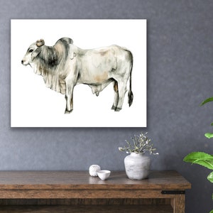Brahman Bull Cow Cattle Wildlife Art Print Reproduction Watercolor Cow ...