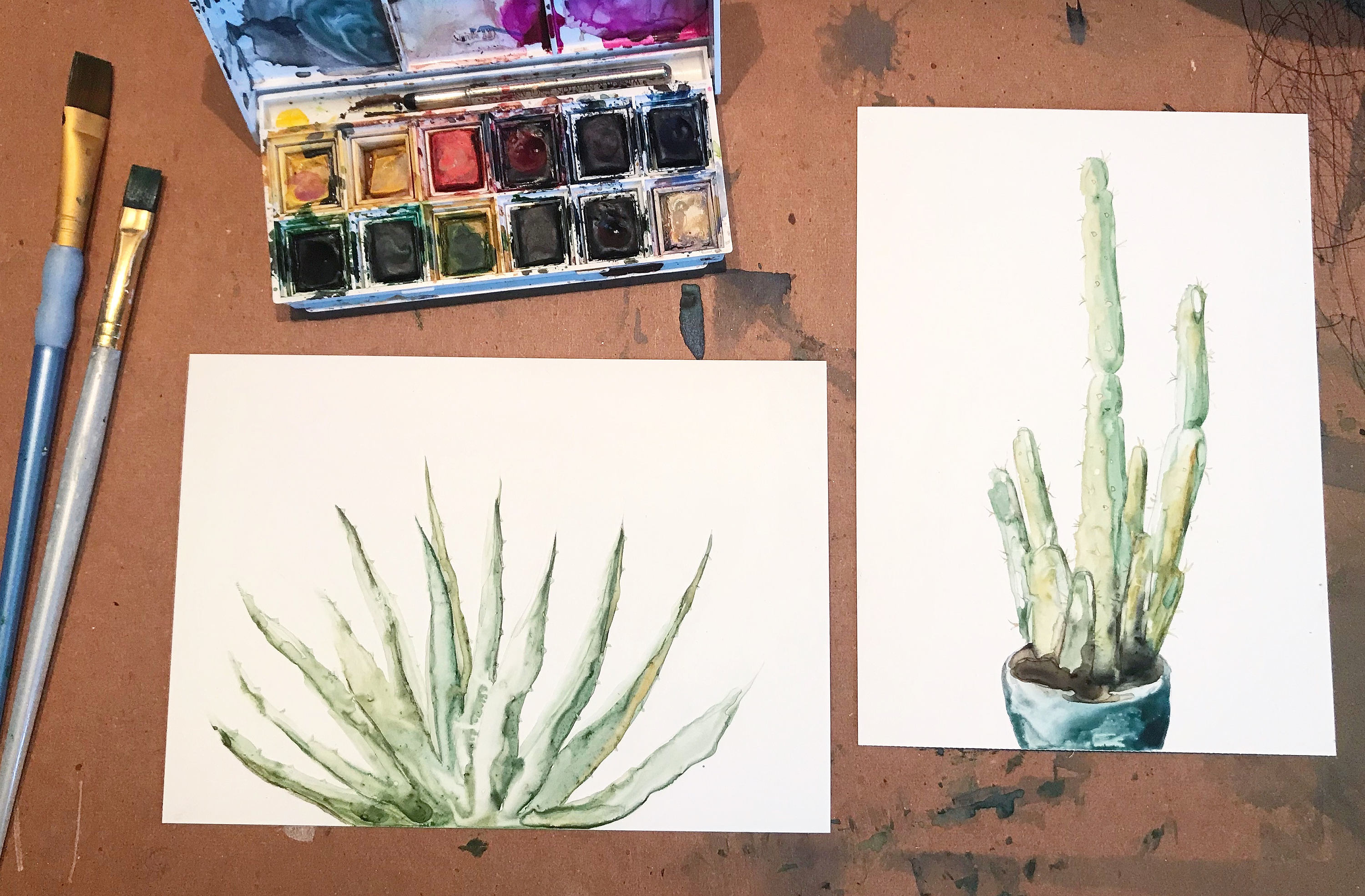 Set of 6 Thank You Cards - Watercolor Aloe Vera Plant - Etsy