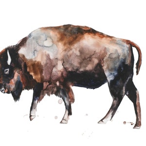 Large Buffalo decor wild American bison wildlife canvas art print reproduction buffalo painting by Meredith O&#39;Neal