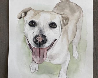 Custom pet portrait  - original watercolor painting by Meredith O'Neal
