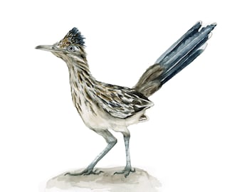roadrunner bird watercolor original painting animal wildlife portrait texas