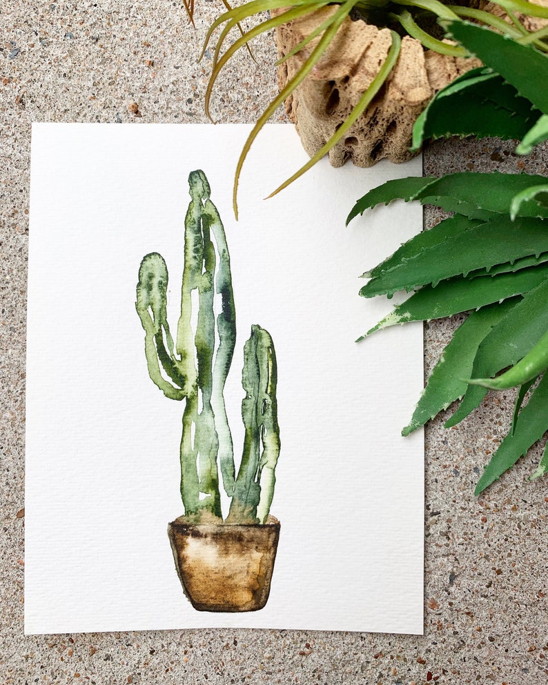 Fine art print reproduction of a potted cactus plant watercolor painting zdjęcie 1