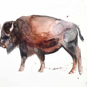 Large Buffalo decor wild American bison wildlife canvas art print reproduction buffalo painting by Meredith O&#39;Neal