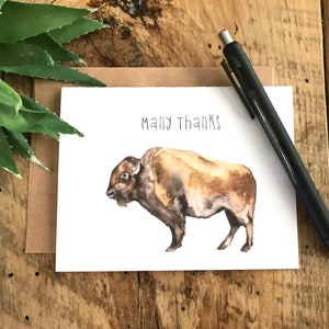 Set of 8 thank you watercolor buffalo folded notecards