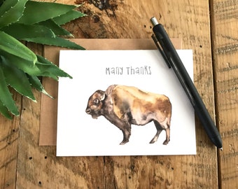 Set of 8 thank you watercolor buffalo folded notecards