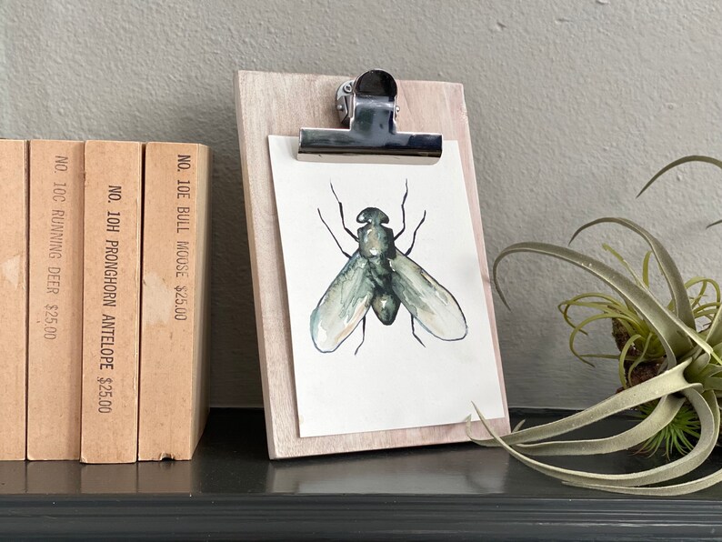 Bug illustration fine art print reproduction of a bug fly scientific illustration watercolor painting image 1