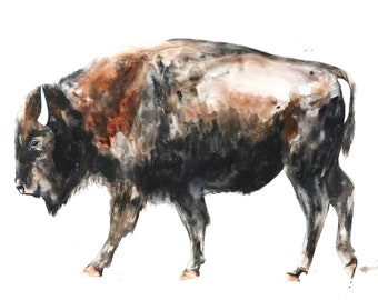 bison buffalo art print reproduction watercolor buffalo painting by Meredith O'Neala